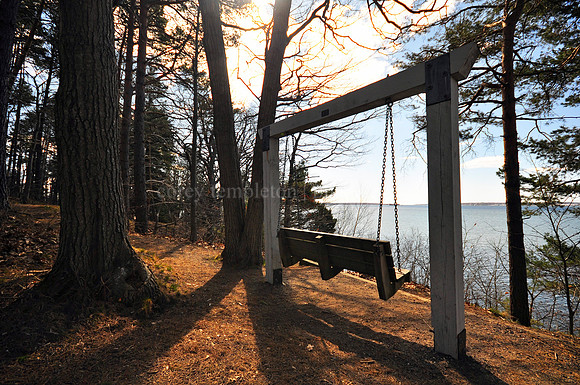 Mackworth Island Bench