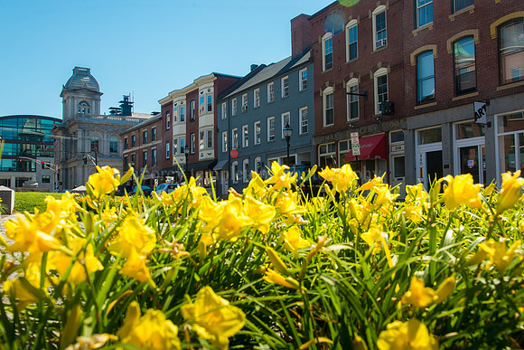 Flowers in Boothby Square on Fore Street