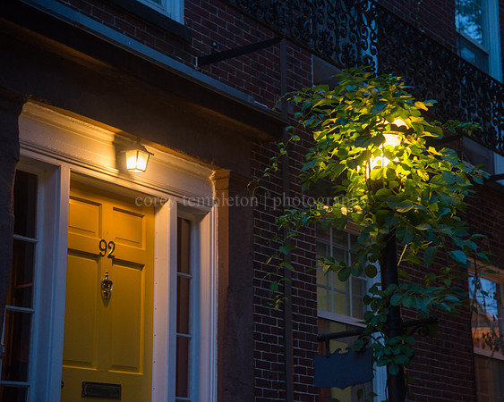 Lamp and Vine on Park Street