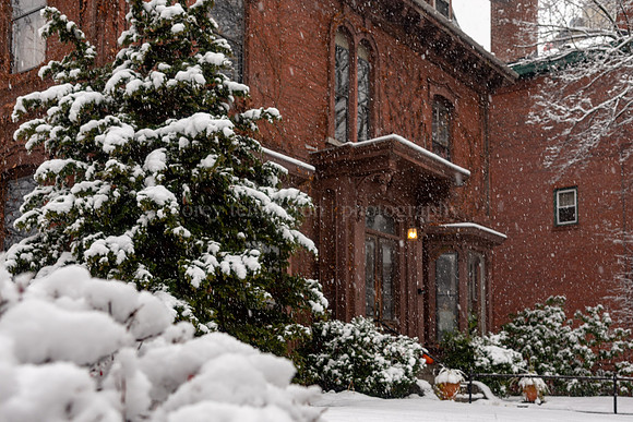 A Snowy Afternoon on Deering Street