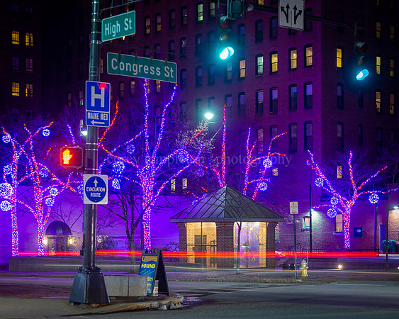 Holiday Lights in Congress Square Park