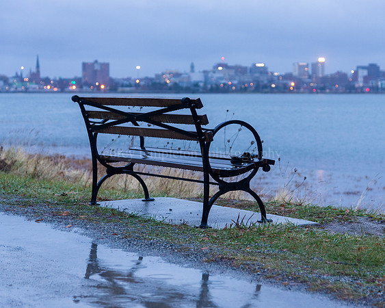 Quiet and Rainy Morning On Back Cove, Bench