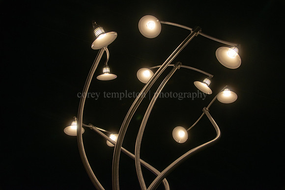 “Luminous Arbor” Sculpture in Woodfords Corner by Aaron Step