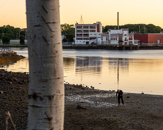 Beachcombing in front of the old B&M Baked Beans Factory