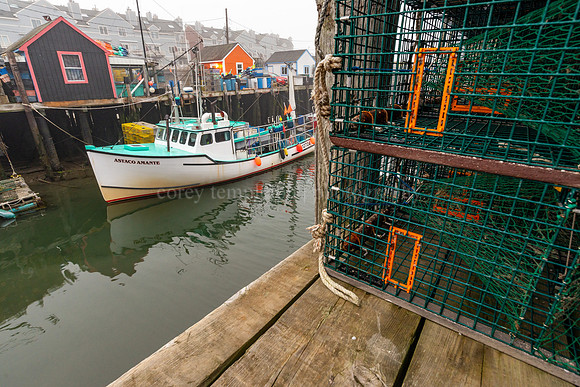 Pops of Orange on the Working Waterfront
