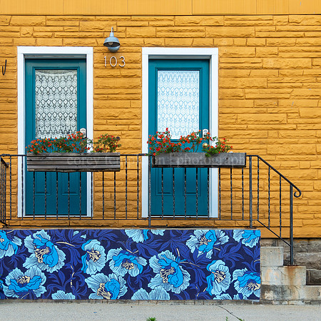 Flowers and Flower Art on Sheridan Street