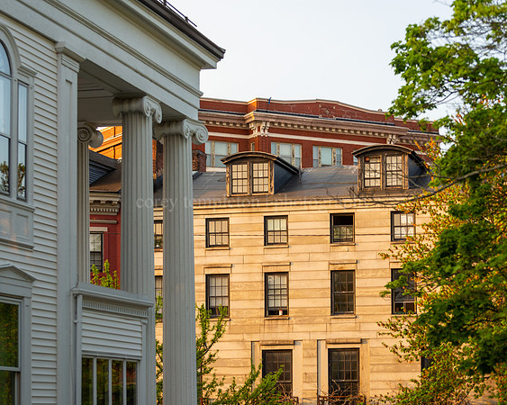 Afternoon Light on Buildings near Longfellow Square