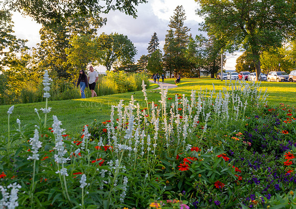 Flower Bed on the Western Promenade