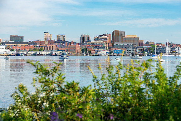 Wide Portland Skyline and Shrubs