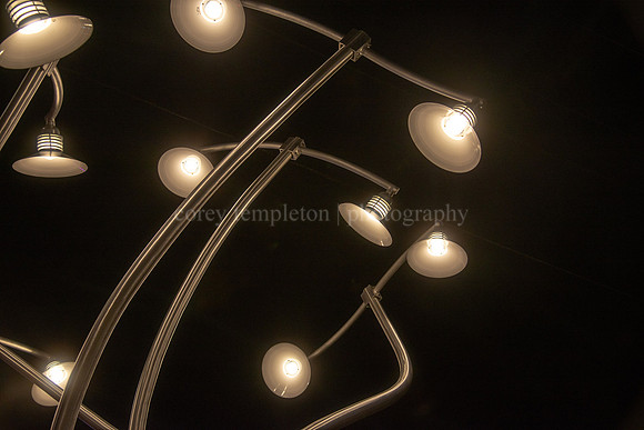 “Luminous Arbor” Sculpture in Woodfords Corner by Aaron Step