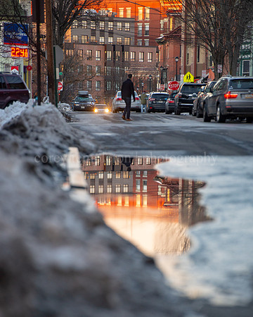 Pine Street Puddle Reflection Towards Longfellow Square