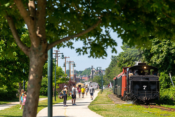 Summer Day on the Eastern Prom Trail