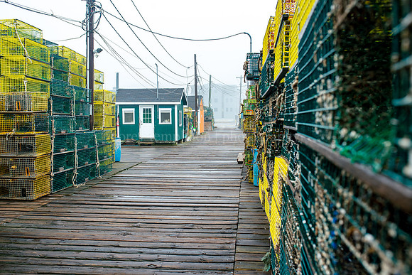 Foggy Day on Widgery Wharf 2