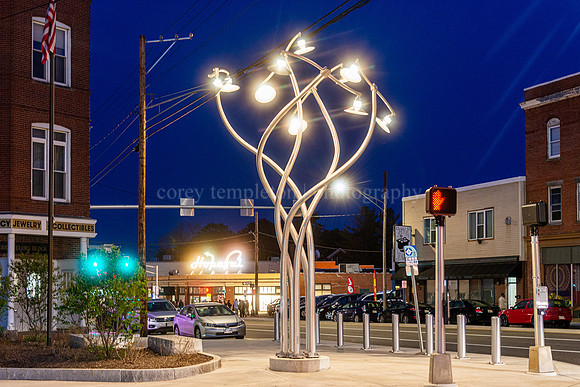 Woodfords Corner - Luminous Arbor and Hopeful Sign at Night 1
