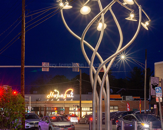 Woodfords Corner - Luminous Arbor and Hopeful Sign at Night 2