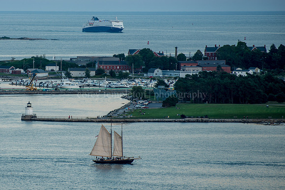 Portland Observatory View
