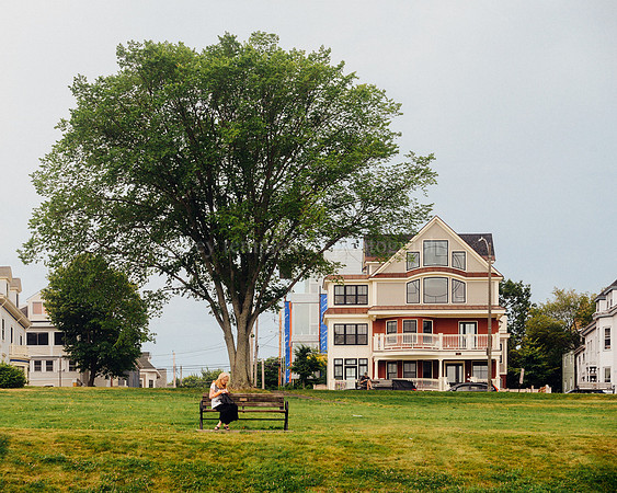Bench and Tree on Eastern Promenade