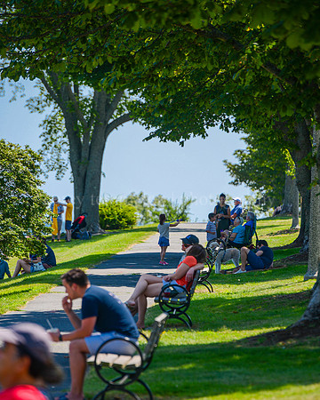 Busy Benches Along the Eastern Promenade