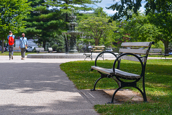 Bench and Fountain in Lincoln Park, Summer