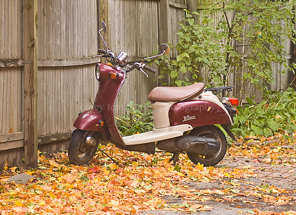 Moped