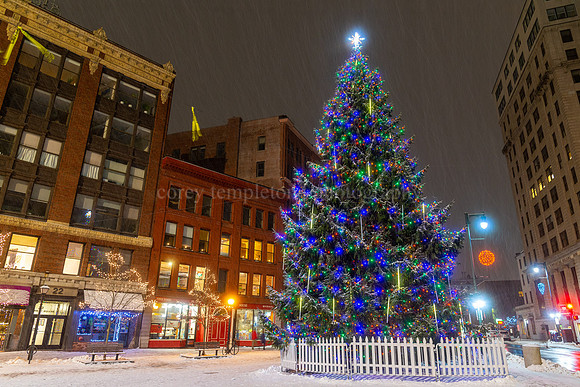 Monument Square Christmas Tree Snowy Night