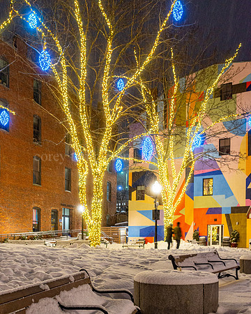 Winter Lights at Tommy's Park, Snowy Evening