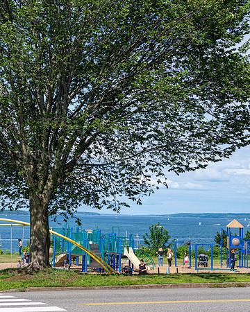 Eastern Promenade Playground, Tree and Casco Bay