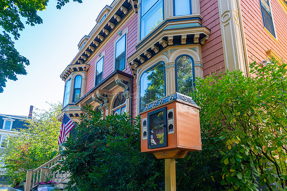 Little Free Library on Pine Street in West End