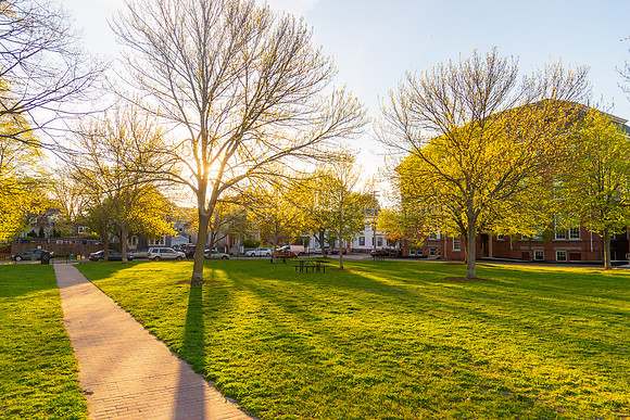 Spring Morning in Fort Sumner Park