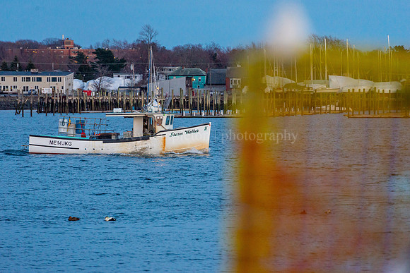 Storm Walker Lobster Boat Returning to Port