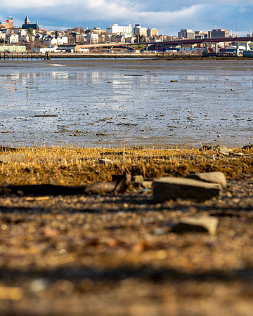 Skyline from South Portland at Low Tide - Portrait