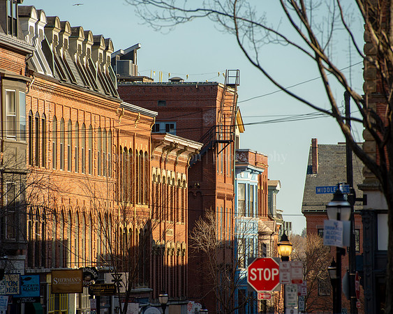 Exchange Street Buildings from Tommy's Park