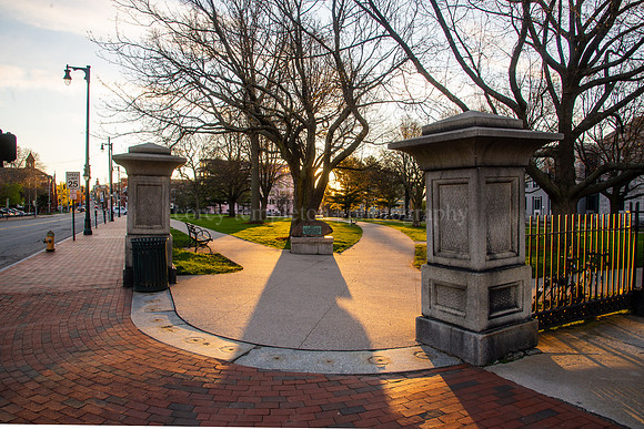 Morning Light in Lincoln Park