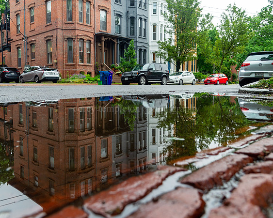 Reflection in a Puddle on Carroll Street - Horizontal