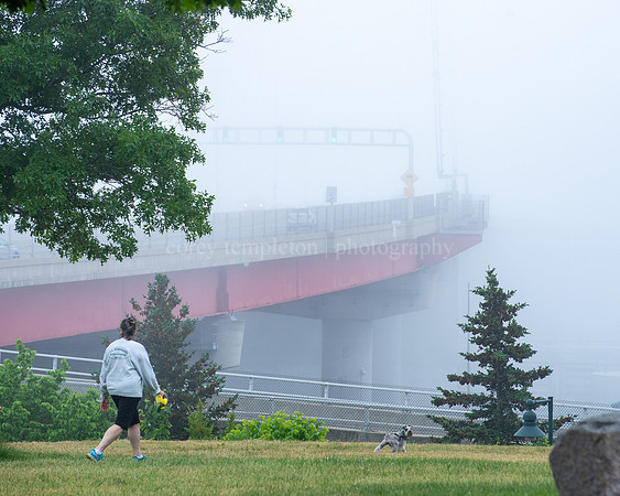 Foggy Summer Afternoon at Harbor View Park