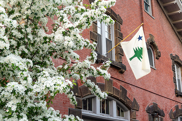 An Original Maine Flag in the West End