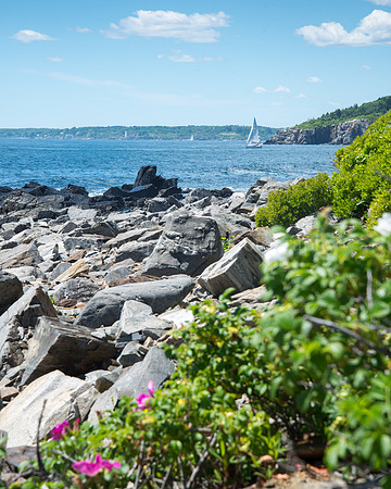 View from Seashore Avenue on Peaks Island