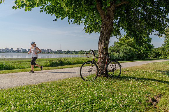 Back Cove Summertime Bicycle and Jogger