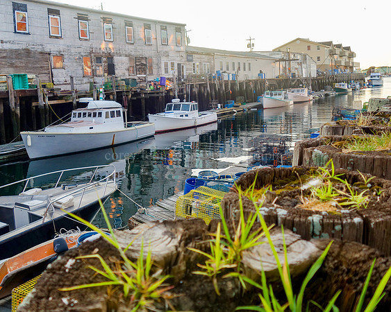 Grass Growing on Custom House Wharf