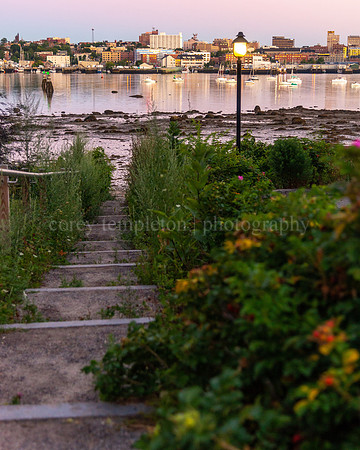 Path to the Harbor and Portland Skyline