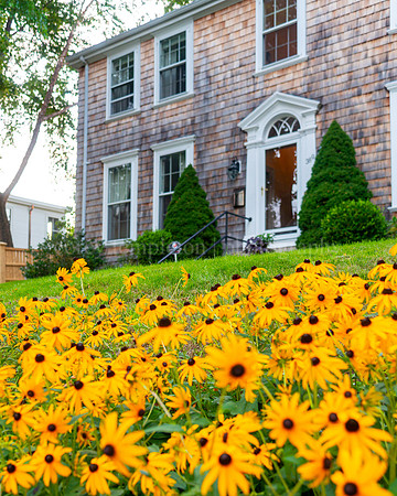 Flowers in front of house on Danforth Street