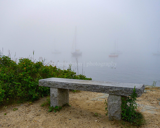 Bench on the Eastern Promenade Trail in the Fog