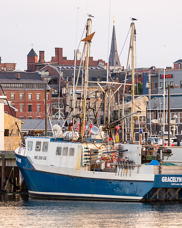 Boat with Seagulls up High