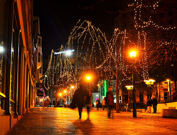 A Winter Evening Walk