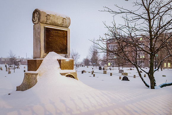 Eastern Cemetery, February 2015