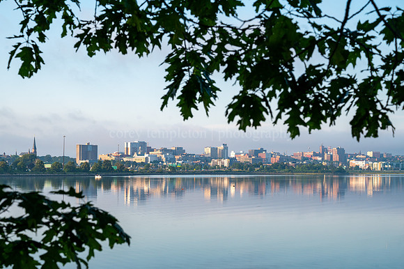 Portland Skyline Across Back Cove in Summer