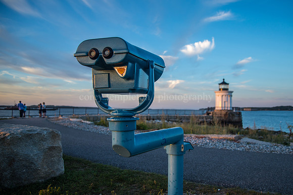 Bug Light Binoculars