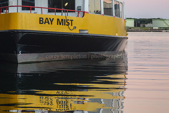 The Bay Mist