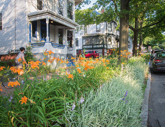 State Street Greenery