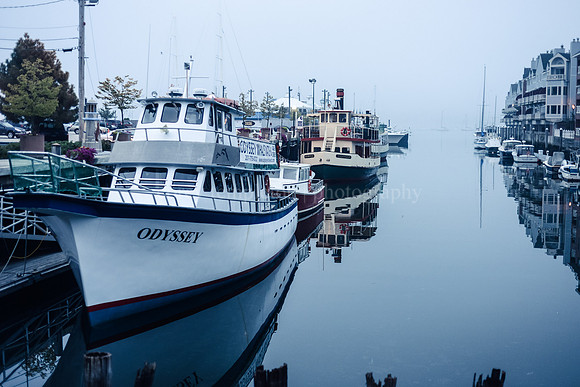 Waterfront